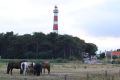 Pannekoekhuis Onder de Vuurtoren („Palačinkárna pod majákem“) a maják v Hollumu na ostrově Ameland v Nizozemsku. | Foto: Honza Bartošek Pannekoekhuis Onder de Vuurtoren („Palačinkárna pod majákem“) a maják v Hollumu na ostrově Ameland v Nizozemsku.