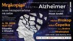 Mrakoplaš kontra Alzheimer na podporu výzkumu léčby Alzheimerovy choroby proběhne už popatnácté.