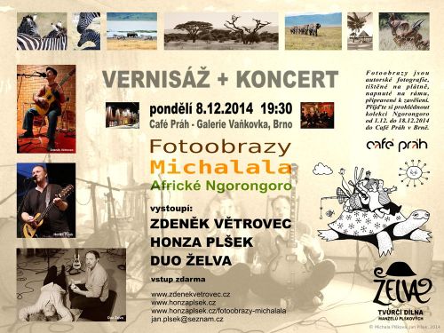 Želva - Café Práh