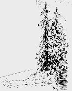 Kresba: Jiří Kotrbatý