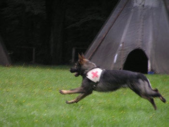 foto: archiv Trapsavce ©